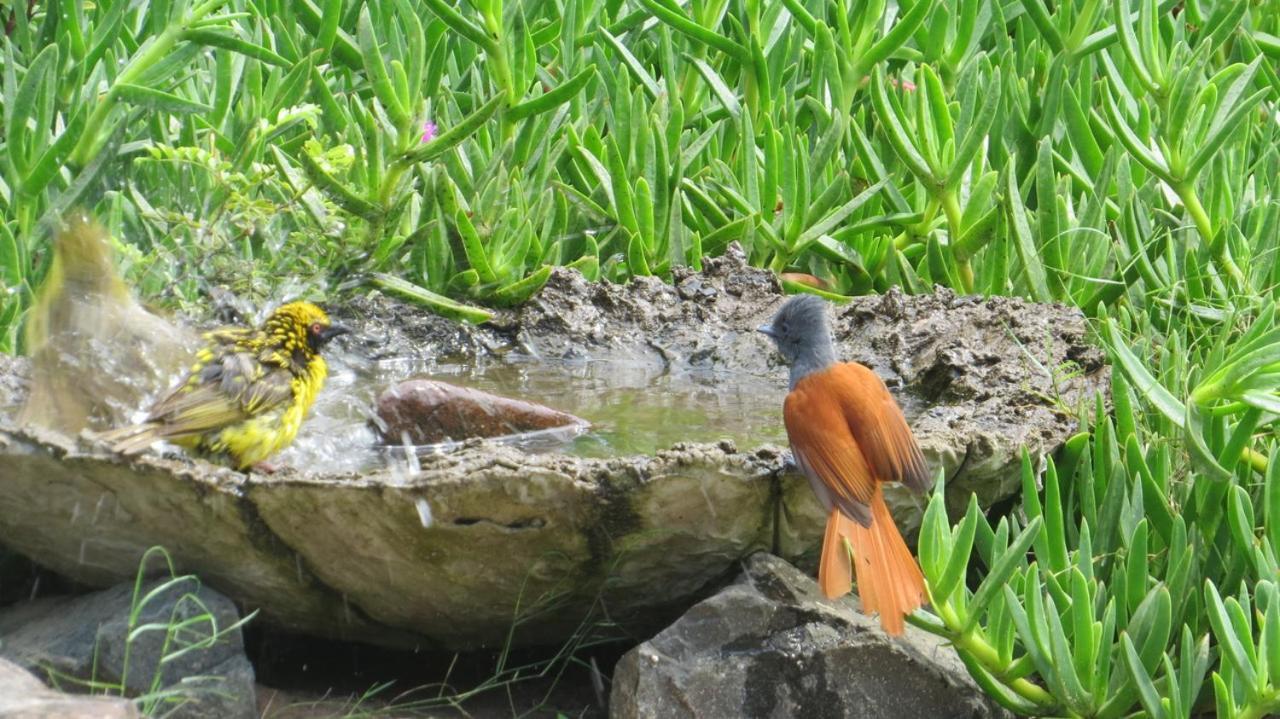 Kingfishers Khaya Sodwana Bay Zewnętrze zdjęcie